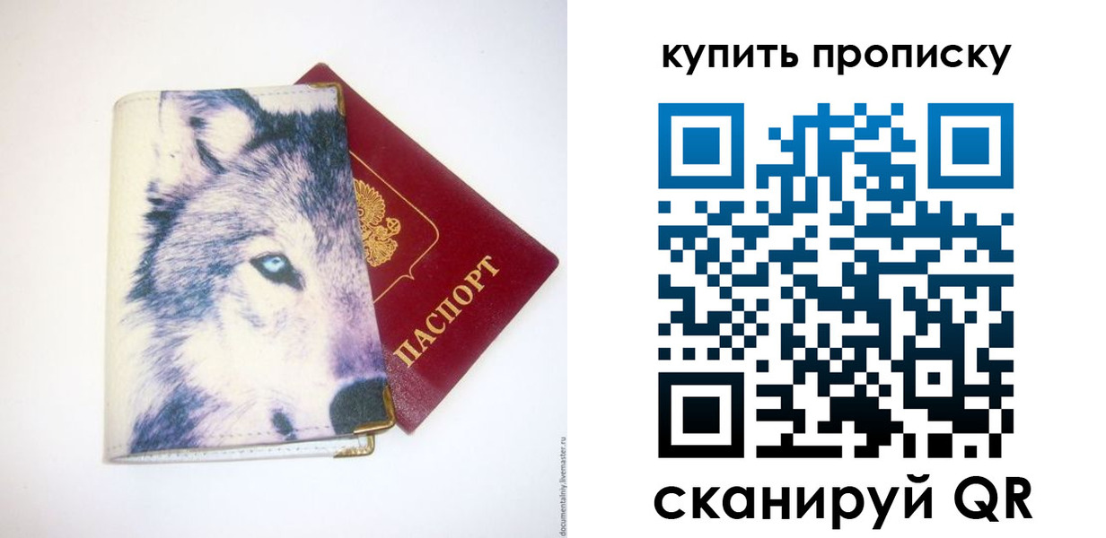 временная регистрация поиск в Кингисеппе